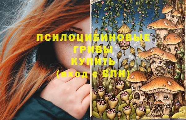 не бодяженный Аркадак