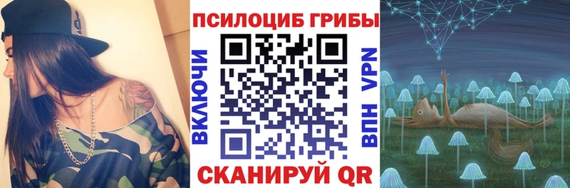 Псилоцибиновые грибы Psilocybine cubensis  Менделеевск 